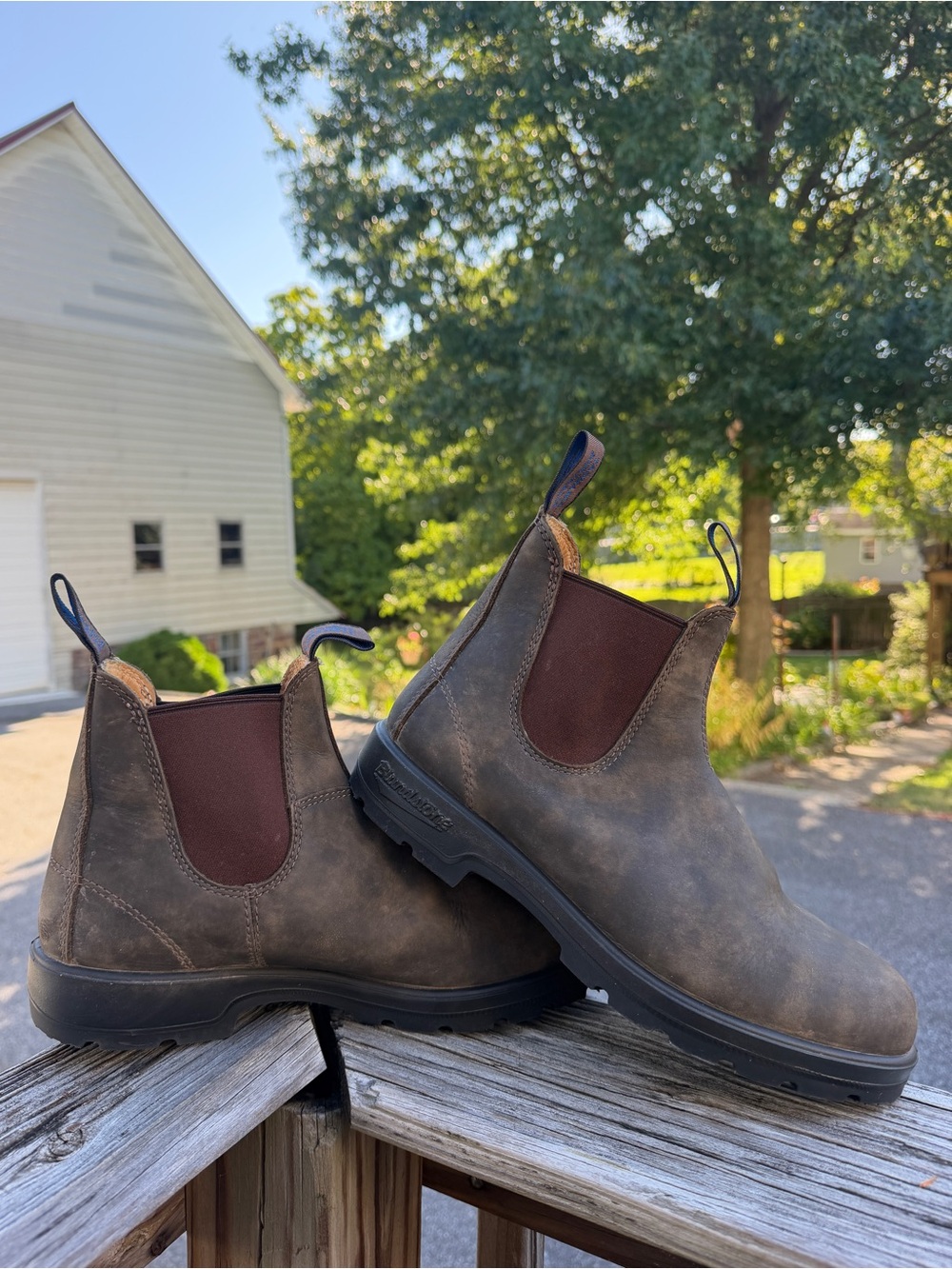 Blundstone 585 Men's Classic Chelsea Boots Rustic Brown- AU 7